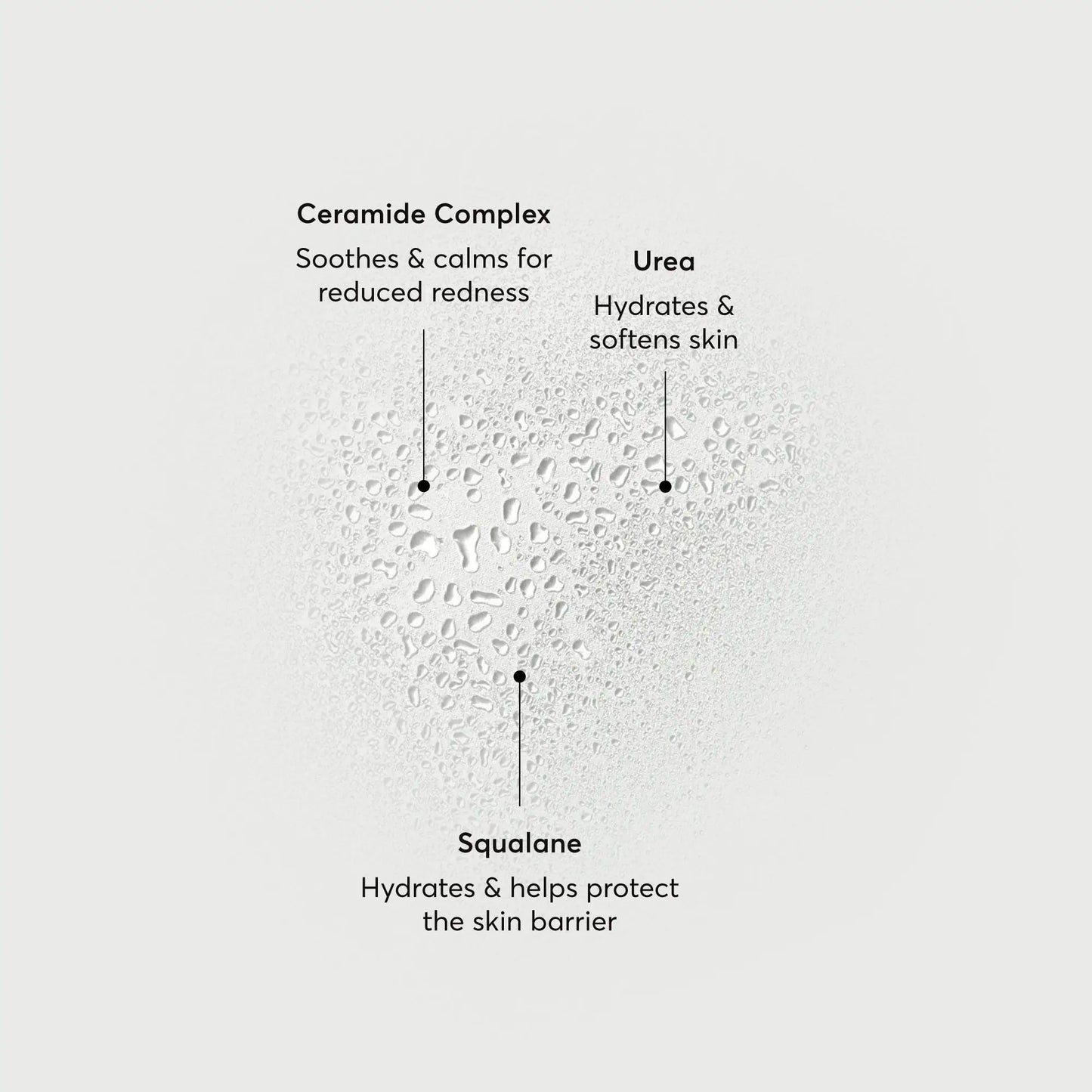 barrier-bounce-bi-phase-mist-b4 NATR-10167-Alt-Images-Barrier-Bounce-Bi-Phase-Toner-Mist_01.webp