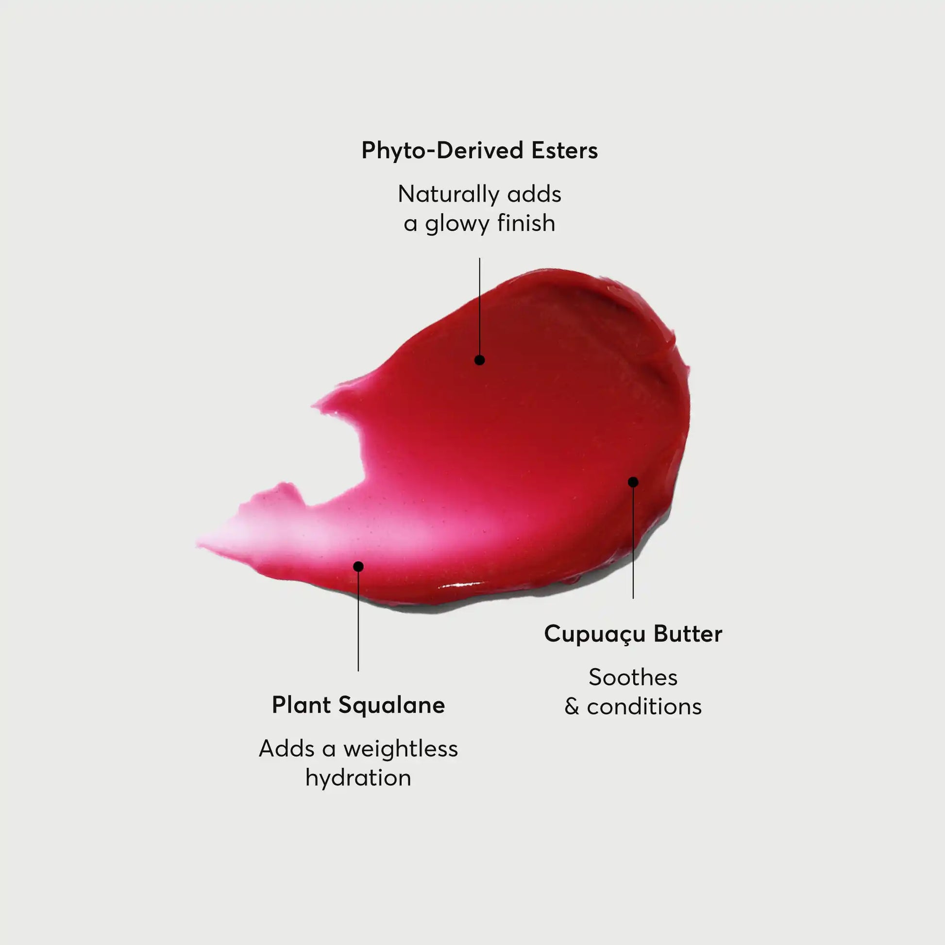 phyto-glow-lip-balm-lychee-u6 NATR-60072-Alt-Images-Phyto-Glow-Lip-Balm-Lychee-01.webp