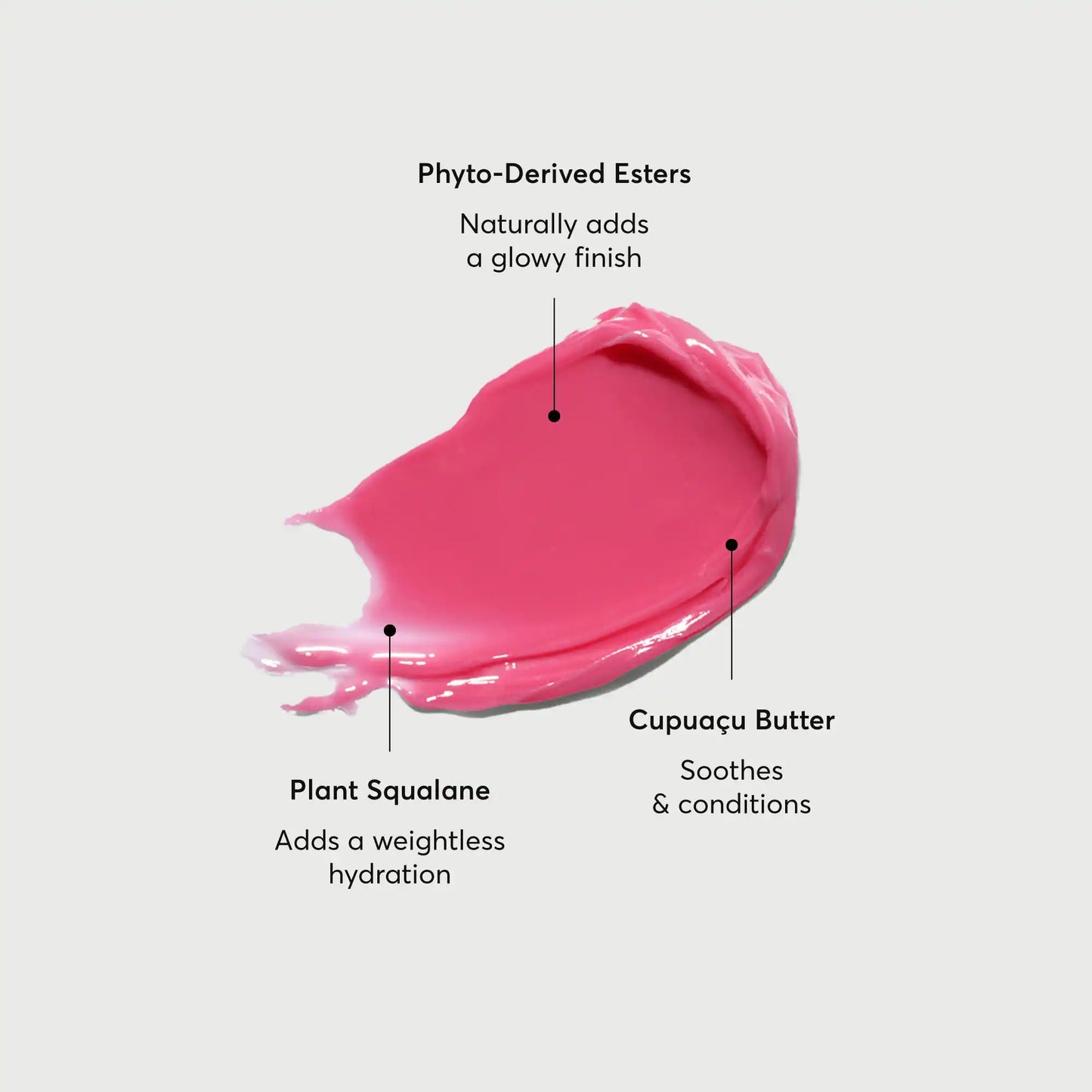 phyto-glow-lip-balm-camellia-z1 NATR-60075-Alt-Images-Phyto-Glow-Lip-Balm-Camellia-01.webp